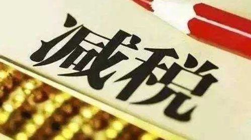 個人稅務籌劃專項審計案例分析